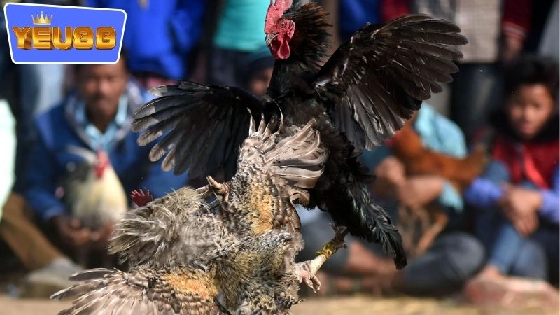 Kinh nghiệm người chơi